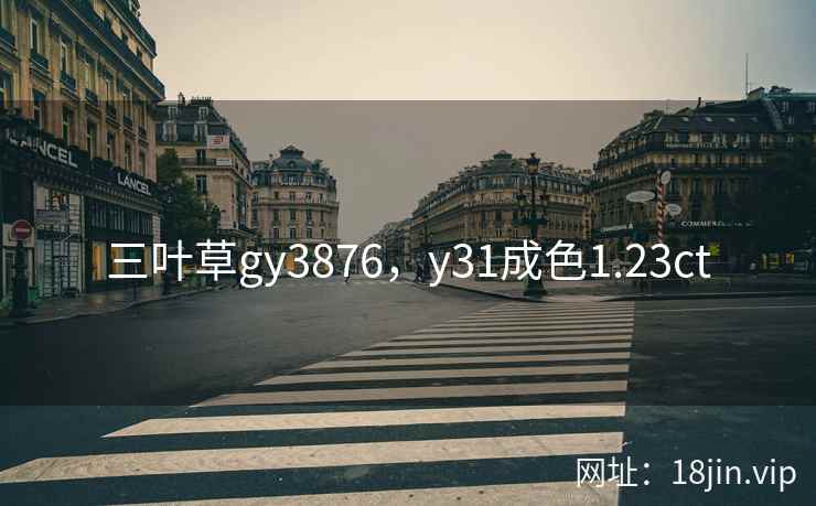 三叶草gy3876，y31成色1.23ct